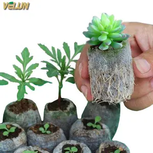 Wholesale Biodegradable Plant Mushroom Grow Bags