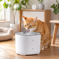 Fontaine à eau pour animaux de compagnie très vendue avec filtration circulante et pompe intelligente et silencieuse ; distributeur automatique et gamelle.
