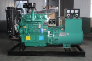 Grupo Electrógeno Confiable de 30kW 40kW 50kW 60kW con Motor Ricardo, 1500 rpm, Refrigerado por Agua, Precio de Fábrica al por Mayor - Product Image 6
