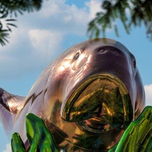 منحوتة قابلة للنفخ مخصصة على شكل دولفين عملاق لامع يطفو على الماء لعام 2022 في الدوحة - Product Image 6