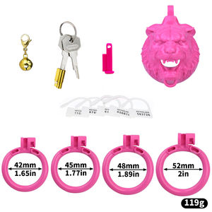 BDSM 2024 Pink Inverted Chastity Cage With 4 Size Cock Ring for Man Brutal Adult Games Sissy Penis Ring Adult Erotic Sex <strong>Toy</strong> 18+ - Product Image 3