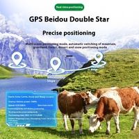 Localizador de satélite GPS especial para vaca, oveja, caballo, resistente al agua, IP67, antipérdida, red 4G, modo de posicionamiento GSM para seguimiento de mascotas
