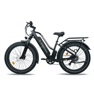 סנדה V8 האיחוד האירופי מחסן אופניים חשמליים אופניים חשמליים 20 אינץ' צמיג שמן מתקפל אופניים נטענים למבוגרים