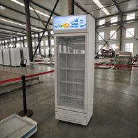 Congélateur rapide à air LED personnalisable à double température pour bière, armoire de réfrigération avec verre trempé incurvé
