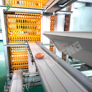Gabbia per uova di gallina e galline con gabbia per allevamento di pollame con attrezzatura per allevamento automatizzato a strato di pollo - Product Image 5