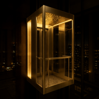 Ascensore Domestico in Vetro Dorato Personalizzato, Produttore di Ascensori di Lusso per Ville con Illuminazione LED, Vendita Diretta dalla Fabbrica OEM