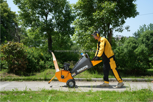 Mini astilladora de tambor <span class=keywords><strong>con</strong></span> motor eléctrico 230V 2.2KW 4 pulgadas de diámetro. Trituradora de ramas CE/EPA para uso agrícola doméstico, maquinaria forestal - Product Image 3