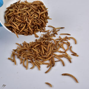 Vente <span class=keywords><strong>de</strong></span> gros Ver à <span class=keywords><strong>farine</strong></span> séchée riche en protéines - Product Image 2