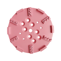 Plaque de ponçage hybride professionnelle en métal de 250 mm, 10 PCD + 6 boutons, grain grossier 60/80 pour l'élimination de la colle époxy épaisse et la préparation des sols