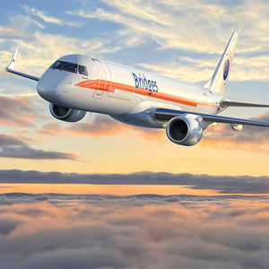 Премиум-услуги Bien Express из Шэньчжэня в Австралию: быстрая и надежная доставка, круглосуточная поддержка, низкие тарифы, обработка опасных грузов. - Product Image 2