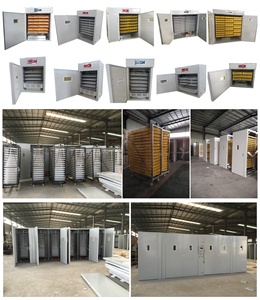 Tự động năng lượng mặt trời trứng lồng ấp và nở máy 3000 trứng công suất điều kiện mới nở và Setter trong một đơn vị - Product Image 5