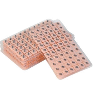 Graines d'oreille <span class=keywords><strong>de</strong></span> <span class=keywords><strong>Vaccaria</strong></span> très vendues et abordables, 600 pièces, graines jetables pour la pression auriculaire, patch <span class=keywords><strong>de</strong></span> stimulation des points d'acupuncture - Product Image 4