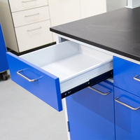 Fabrik Klassen zimmer Labor möbel Bank Tops Labor tisch Kunden spezifische moderne Labor ausrüstung für Schule Edelstahl 1 Set