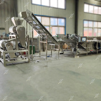 Commerciële Kleinschalige Groentepulper Extractor Machine Oranje Fruit Tomaat Pulping Verwerkingsproductielijn