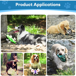 Juguete interactivo moderno de hierba gatera, juguete novedoso para mascotas de tortuga para gatos, rechinar y rascar los dientes para peces y Mascotas - Product Image 5