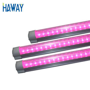 T8 LED Tube Lumières 4ft AC85-265V Intégré Rouge Bleu Remplacer Ampoules Fluorescentes Lampes à Spectre Complet pour les Légumes - Product Image 5