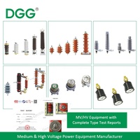 Supresor de Sobretensiones Personalizado DGG, Clase de Descarga Específica, Supresor de Rayos para Esquemas de Protección de Redes Eléctricas Industriales a Medida