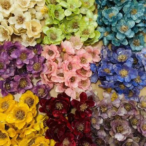 ดอกเดซี่ไล่สีสวยงาม ดอกแคนเตอร์เบอร์เบลส์  ติดหลังเรียบ ทำจากเรซิ่น  สำหรับงาน DIY เครื่องประดับ - Product Image 2