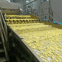 Hoogproductieve automatische aardappelhakmachine voor de productielijn van fruit- en aardappelchips en frieten
