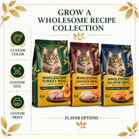 Sachet souple mat à bec verseur pour aliments pour chats, personnalisable avec logo, qualité alimentaire, résistant à l'humidité, pour emballage d'aliments pour animaux