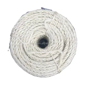 6mm Bleached Sisal Rope for Pet Rope