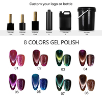Kit de gel pour les yeux de chat à paillettes brillantes OEM Logo personnalisé Vente en gros Salon de nail art Gel UV pour les yeux de chat de haute qualité Échantillon gratuit