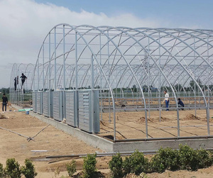 Structure en acier galvanisée à chaud de <span class=keywords><strong>tunnel</strong></span> de serre végétale commerciale de Sinok avec la feuille en plastique - Product Image 1