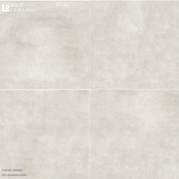 Carreaux de sol en céramique gris clair antidérapants à finition mate bon marché Ghana 45x45 30x60 60x60 pour sol et mur de salle de bain