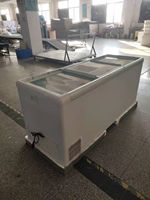650L SD-650D porte en verre plat coffre réfrigérateur congélateur