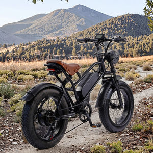 UNIÓN EUROPEA NUEVO MODELO 20 pulgadas Fat Tires 500W 23Ah Batería Todo terreno Bicicleta de montaña eléctrica para adultos para uso urbano - Product Image 6