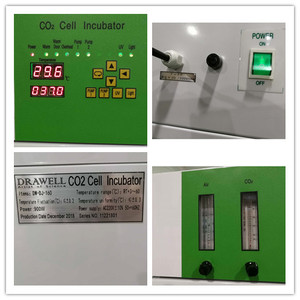 DW-WJ-2 CO2-Inkubator Kohlendioxid-Zell-Inkubator für die moderne Medizin Biochemie - Product Image 3