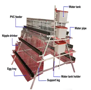 Hot selling factory direct sale hip dip galvanized chicken cage for egg collection