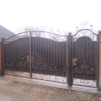 Portes de villa en fer forgé, produit de luxe de haute qualité,