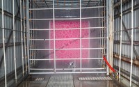 ORANGE Magnifique Remorque Alimentaire Multifonctionnelle Rose de Haute Qualité en Fibre de Verre pour Pizza et Hamburgers, Chariot Alimentaire, Fourgon Alimentaire