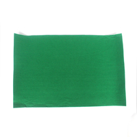 Tapis de Terrarium vert en Polyester, nouveau Design, personnalisable