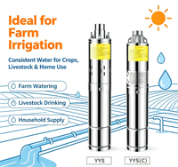 Pompe à eau solaire à vis en acier inoxydable de 3 pouces à débit stable, longue durée de vie, pompe submersible pour l'irrigation agricole