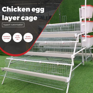 Jaula <span class=keywords><strong>de</strong></span> gallinas ponedoras para equipos avícolas, lista para enviar, sistema <span class=keywords><strong>de</strong></span> jaulas <span class=keywords><strong>de</strong></span> batería <span class=keywords><strong>de</strong></span> alambre galvanizado soldado para cría <span class=keywords><strong>de</strong></span> gallinas ponedoras y pollitos. - Product Image 1