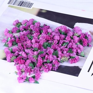 Capullos de Flores Secas Blancas Puras de Alta Calidad, 1 kg/bolsa, Cabezas de Flores de No <span class=keywords><strong>Me</strong></span> Olvides Preservadas para Manualidades, Decoración de Fiestas, Confeti de Boda - Product Image 3