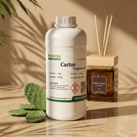 Bâtonnets diffuseurs Cactus en gros – Qualité supérieure, écologiques, pour hôtels, aromathérapie, parfum longue durée, parfum d'ambiance pour la maison