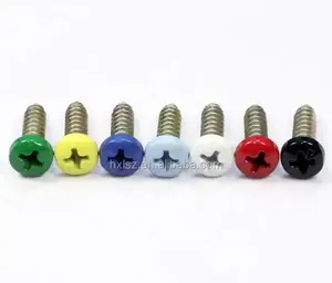 Screw supplier supply white black different colored powder coated decorative screws