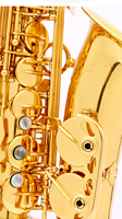 Earl Mann EB Tone Gold Lacquer Finish Alto Saxophone Brass Woodwind Instrument