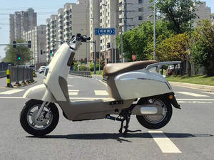 Y4-XKG Mini <span class=keywords><strong>moto</strong></span> électrique costume le plus vendu <span class=keywords><strong>800W</strong></span> longue portée <span class=keywords><strong>Cross</strong></span> 72v <span class=keywords><strong>moto</strong></span> électrique - Product Image 6