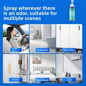Désodorisant et Stérilisant pour Voiture Goodway Metal, Spray Purificateur d'Air pour Climatisation - Product Image 3