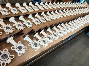 Custom High Quality Ductile Iron Clamp Type Turbine PTFE butterfly Valve - Product Image 5