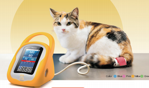 เครื่องวัดความดันโลหิตดิจิตอลสำหรับสัตว์เลี้ยง JHB Medical เครื่องวัดความดันโลหิตอัตโนมัติสำหรับสุนัข แมว และสัตว์ขนาดเล็ก - Product Image 5
