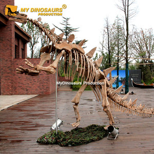 Mon Dino Grandeur nature Dinosaure Stégosaure Squelette Pour Center Commercial - Product Image 5