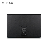 Haut-parleur de scène professionnel MR15, monophones, 15 pouces, 450 W RMS, passif, pour spectacles en direct et conférences