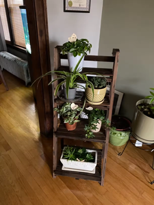 Soporte de planta de diseño de paso de fábrica, estante de <span class=keywords><strong>madera</strong></span> para interiores y exteriores, estante de exhibición, escalera, soporte para maceta, maceta de pared - Product Image 3