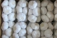Ail frais 2025 3-4cm normal/blanc pur 10kg sac ail pelé prix d'exportation bas
