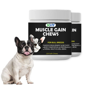 Friandises à mâcher pour chiens, marque privée, soutien musculaire, soins de santé pour animaux de compagnie et compléments alimentaires, pour renforcer les muscles - Product Image 1